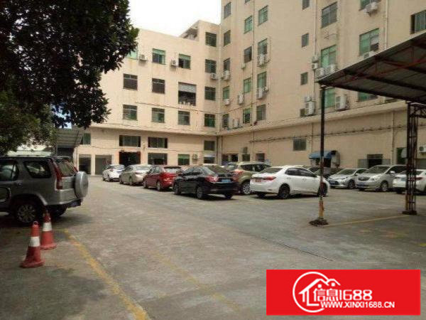 坪地教育中路新出独院厂房2楼300平方带地坪漆办公室