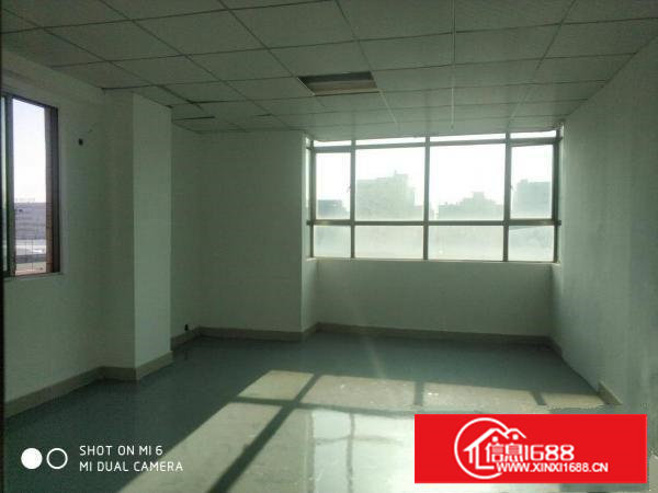 口罩长安沙头金沙花园旁300平厂房出租仓库加工