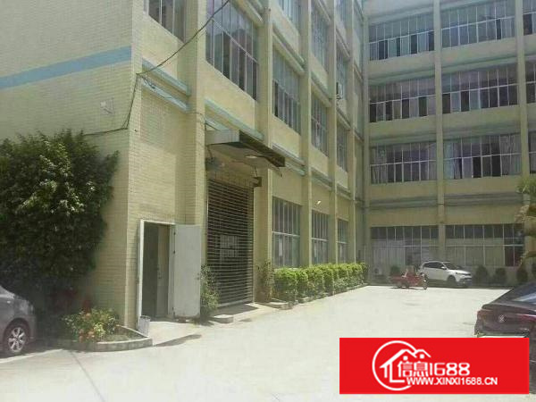 龙城广场一楼和二楼600;1200平米可分租