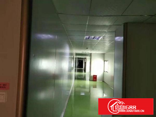 塘厦莲湖缤纷广场九成新无尘车间2600平方