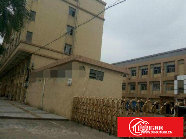 谢坑工业区标准独院1-3层楼房4000平方出租近主干道