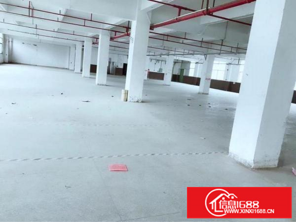 陈江6500平独院，可做污染行业，有红本，可办环评