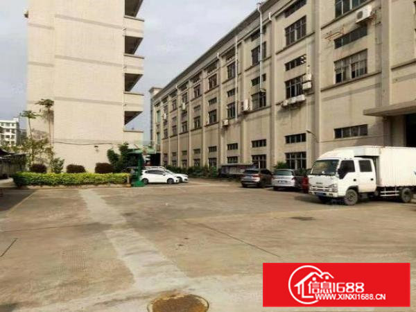 大岭山原房东1楼厂房整层出租