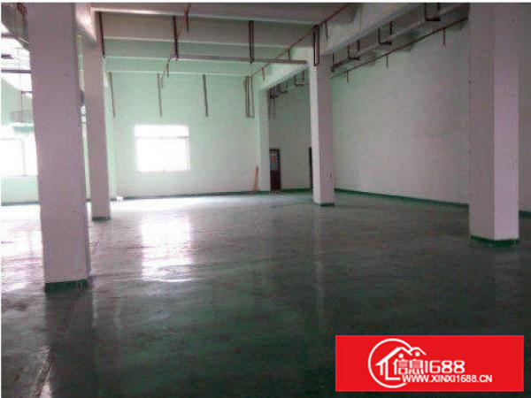 出租清溪超靓标准厂房一楼1000方可分租