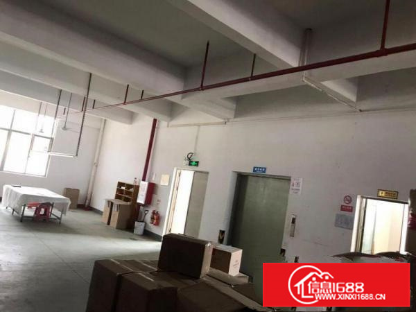 4楼厂房出租水电、消防，电梯齐全