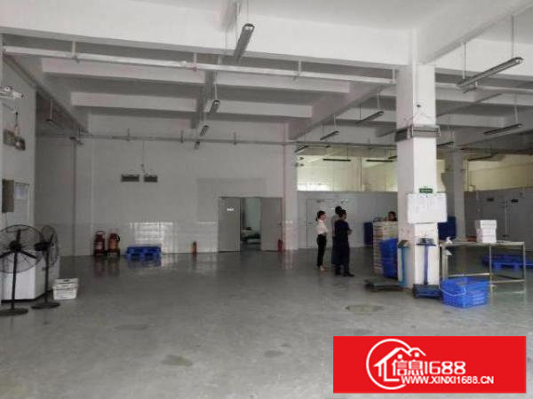 龙岗龙东独院一楼标准厂房出租650平米