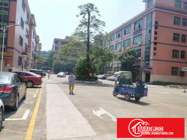 龙岗区坂田原房东物业现成装修整层1380平可分租