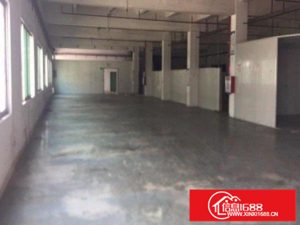 原房东独门独院厂房，整层出租可分租