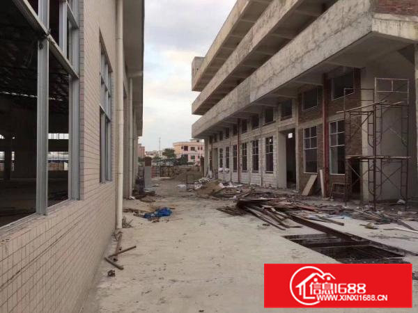 常平独院单一层厂房2900平方出租，滴水8米