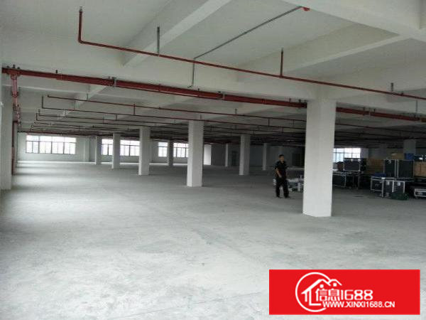 原房东独院标准厂房3300平方现代化厂房