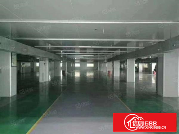 一手房东厂房（无尘车间）出租带办公室装修！