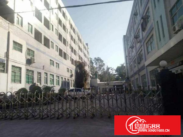 横岗安良新出独院厂房二楼608平方全新装修有吊顶