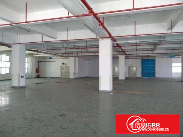 沙井新桥红本园区芙蓉工业园1250平米原房东厂房直租