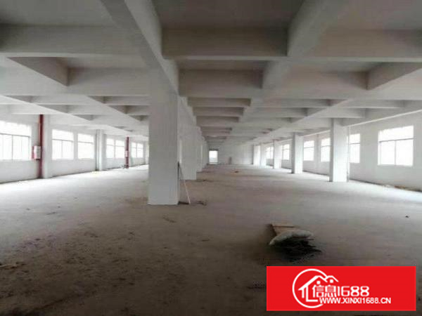 石湾科技园全新重工业厂房出租14层3800平，证件齐全
