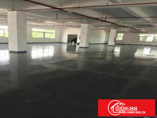 出租布吉丹竹头二楼厂房1500平方，带精装修