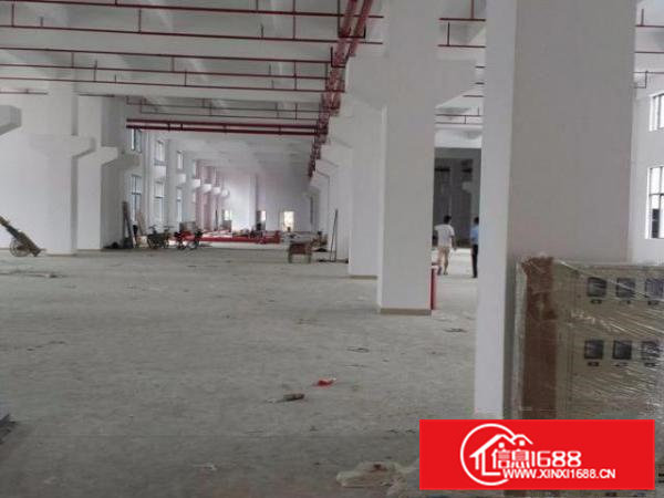 凤岗全新大型独院厂房出租39500平方近深圳平湖