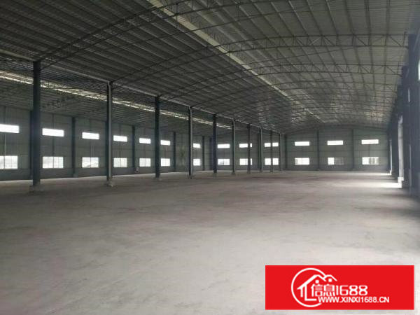 常平全新独院钢构厂房12000平出租可分租