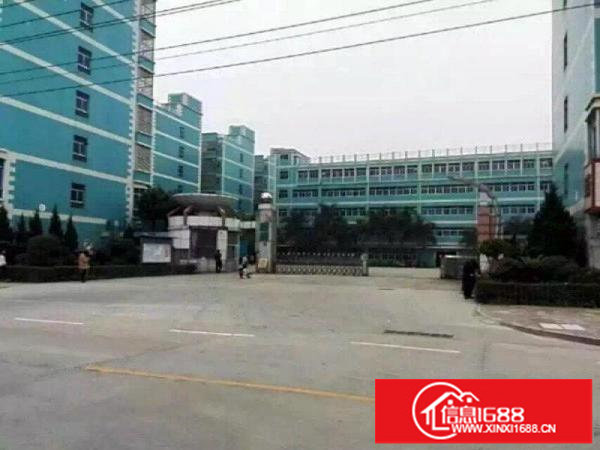 原房东厂房碧岭工业区5800平米独院厂房出租