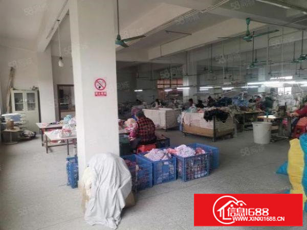 茶山镇新出原房东2450平独门独院现成制衣厂带精装修