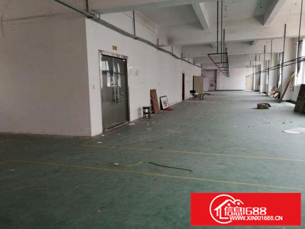 新出！辅城坳工业区新出楼上750平方厂房，招工零压力！