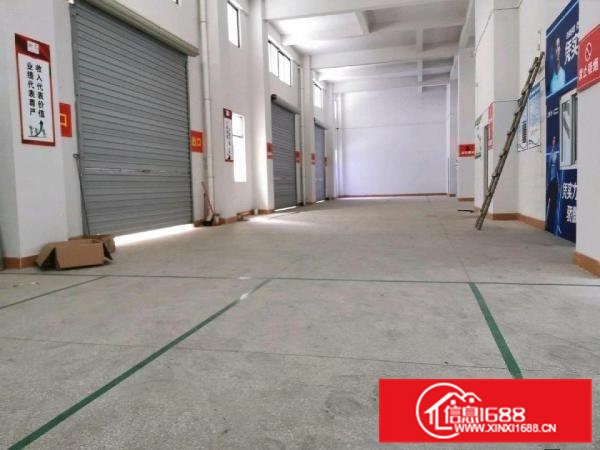 大朗洋乌村附近全新厂房出租