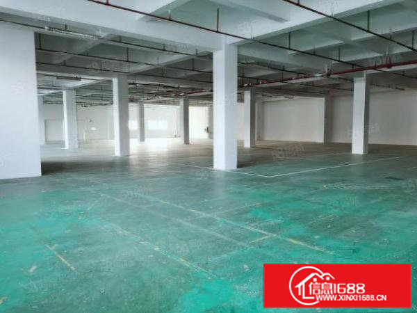 临松山湖厂房1800平大小可分可注册可办环评消防合格