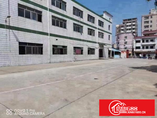 清溪大利新出一楼1300平方。高度7米。