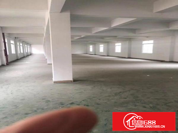 3900平方全新电梯厂房招租