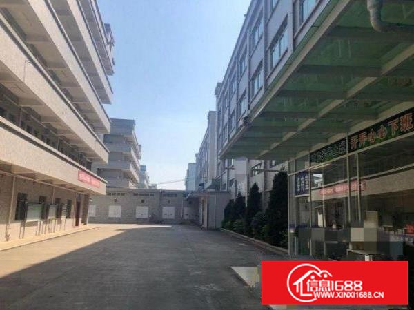 隔坑独院厂房出租8000平米八成新可分租100平方