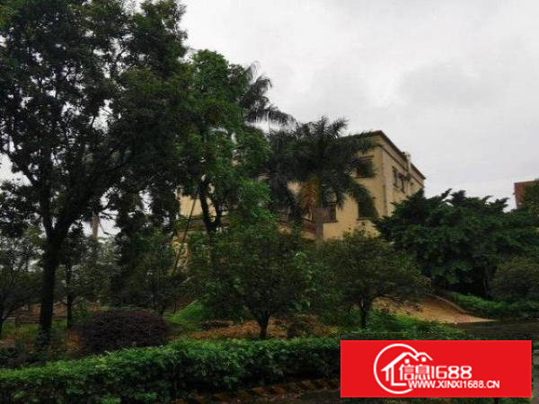 新联一楼转租1500，无转让费，带行车，12米高，好进大车