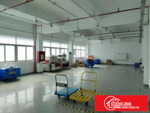 石排太和独院楼上全新厂房1000平米原房东出租