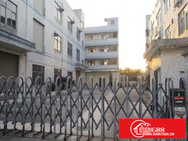 谢坑村新出一楼320平二楼500平厂房出租可分租