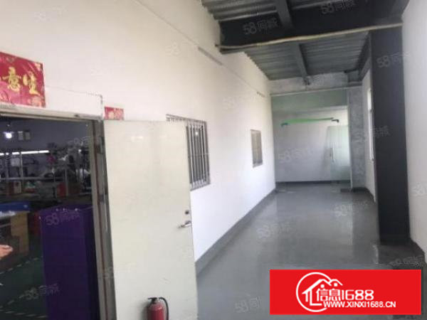 清溪土桥村新出9000平钢构厂房出租滴水9米