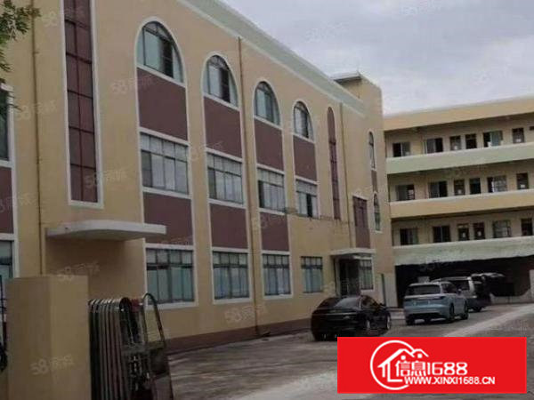 大朗镇洋坑塘经典小独院出租