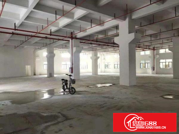 原房东独院厂房一栋两层3600平方,形象好，位置佳，价格便宜