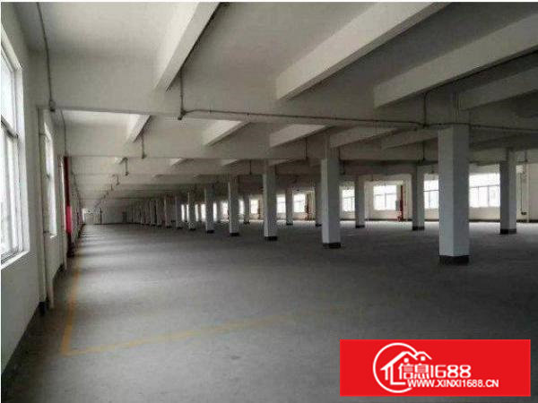 清溪大埔村标准楼上厂房1200平厂房空地大