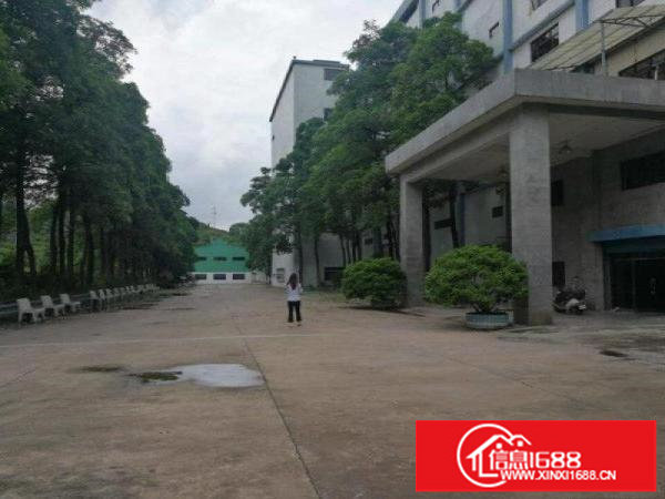 龙岗原房东独院厂房出租2200平带装修地坪漆可分租