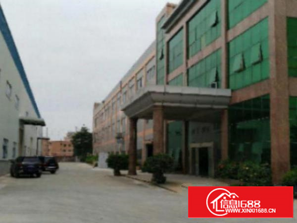 万江标准1750㎡出租