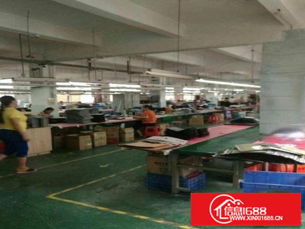 龙岗乐华路楼上厂房出租800平方，带装修，可分租