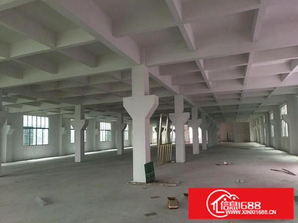 狮山镇，国有证，全新标准厂房出租，可过环评！