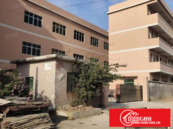 东莞启石原房东独门独院3层1800平米厂房出租