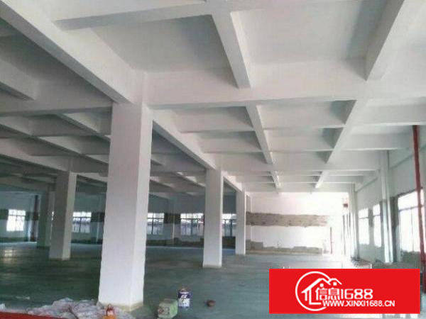 横沥田坑标准厂房出租楼上面积800平方带一部3吨电梯