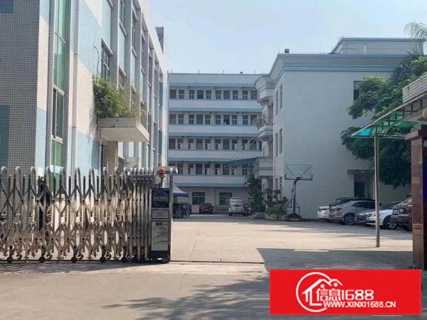 三中村新出一楼600平二楼850平带装修厂房出租