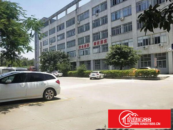 龙岗大道边新出原房东2楼2500平带装修厂出租，可分租