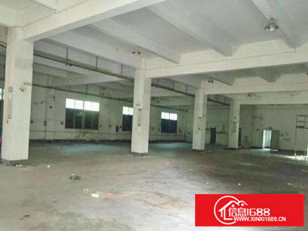 观澜环观中路横坑轻轨4层独院厂房出租