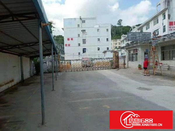 （出租）228独立园区独栋一楼700平可分割有红本