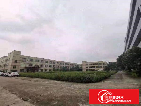 横沥镇独院花园式标准厂房38000平方出租，国有证厂房！