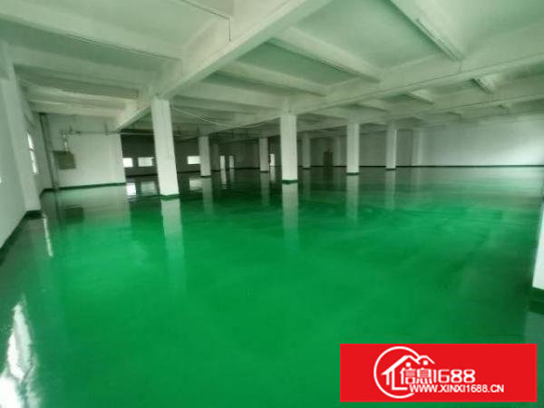 观澜新田楼上全新地坪漆厂房楼上1650平水电到位带装修