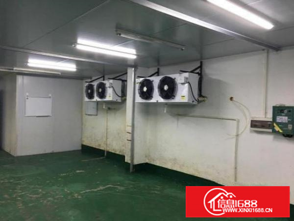 全新装修无尘车间冷机冷库全新，适合做配送食品冷藏等行业