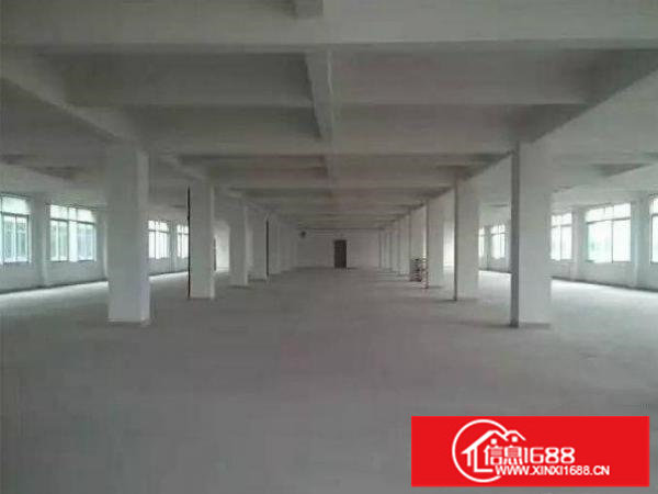 出租布吉丹竹头标准一楼厂房1650平方空地大